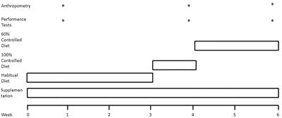 Influence of Fish Oil-Derived n-3 Fatty Acid Supplementation on Changes in Body Composition and Muscle Strength During Short-Term Weight Loss in Resistance-Trained Men